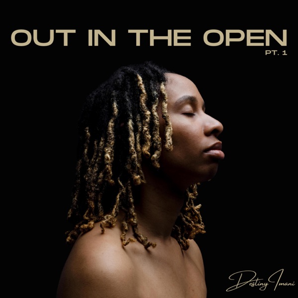 Destiny Imani-Out In The Open, Pt. 1