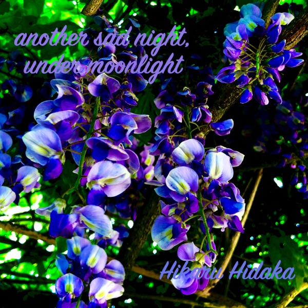 Hikaru Hidaka - Another Sad Night Under The Moonlight